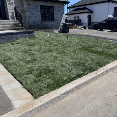 Aménagement Express vert - réalisation (2)
